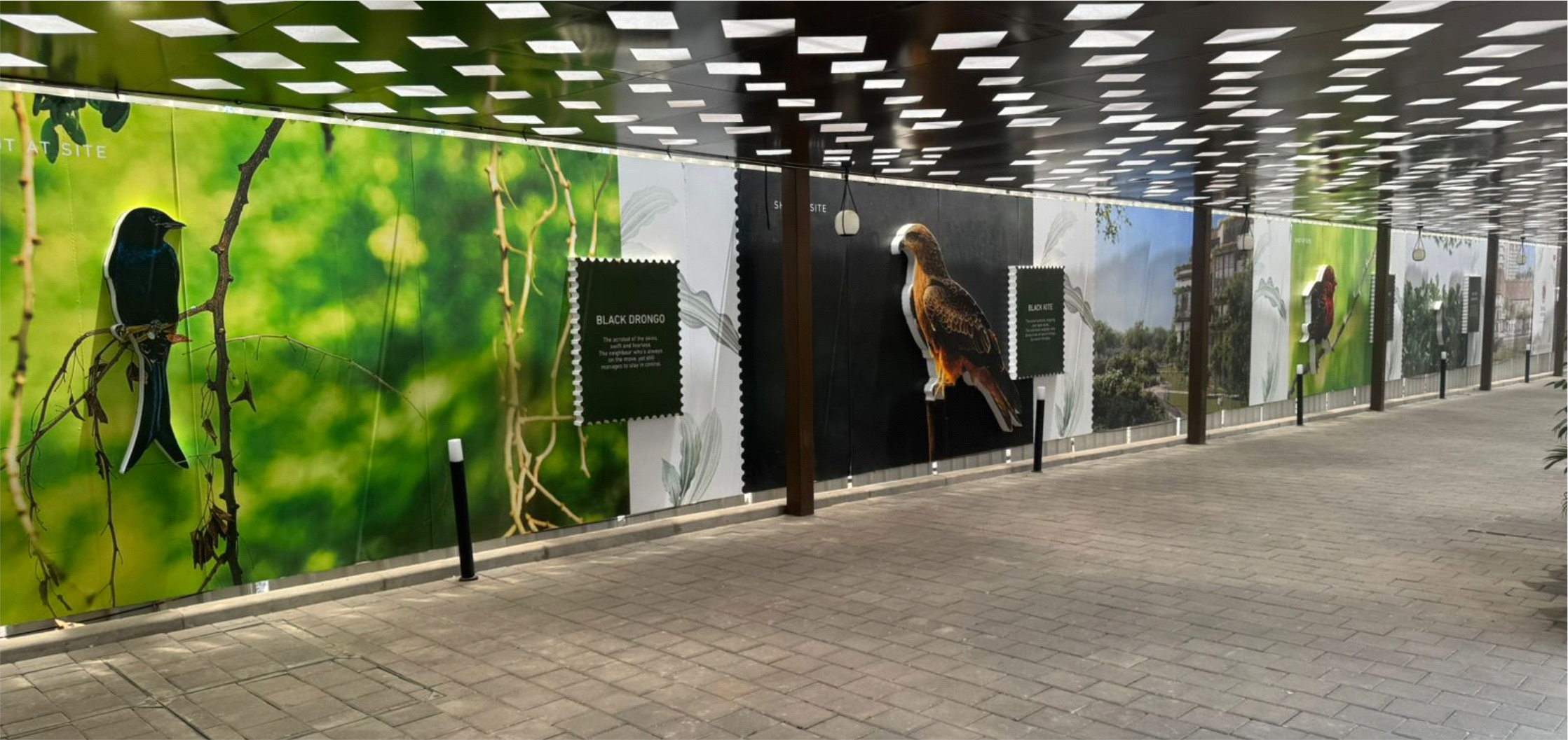 Birla Punya Pune Branding